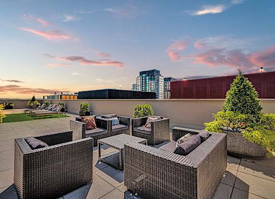 A patio with a couch, chairs and a table with a tree in a planter.