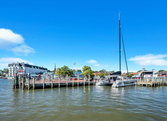a group of boats docked at a dock on the water