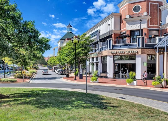 a city street with shops and trees on the side of the road