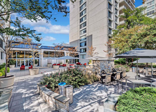 Apartments for rent in Crystal City