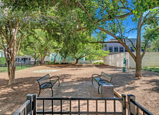 Apartments for rent in Crystal City
