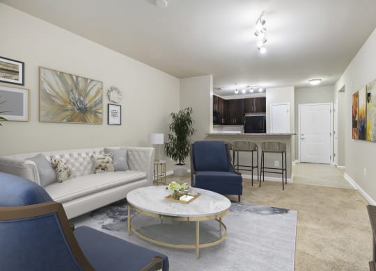 Renovated apartment rentals in Crystal City Arlington VA