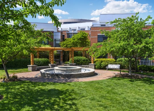 Renovated apartment rentals in Crystal City Arlington VA