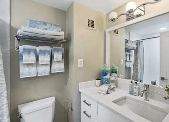 Sleek Bathroom Finishes Including Quartz Countertops and Oversized Vanities at Crystal Square, Arlington, VA