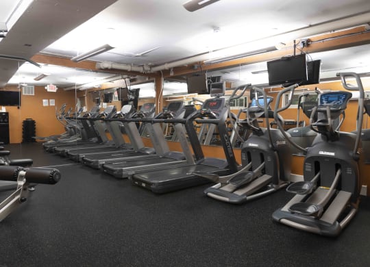 Great Apartment Rentals in Rosslyn VA