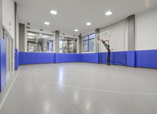 Indoor Multi-Purpose Court with Basketball Goal, Volleyball Net Capabilities and Personal Sound Controls