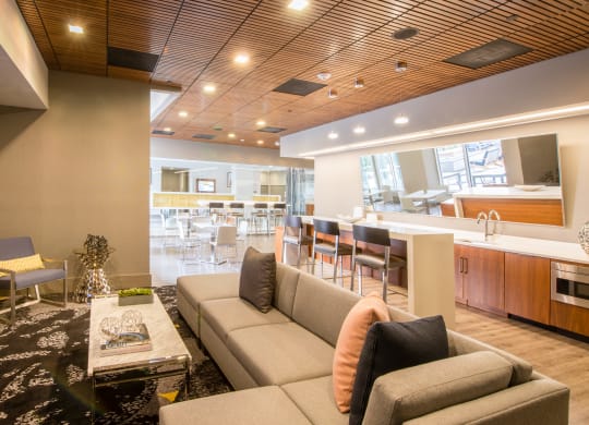Renovated apartment rentals in Crystal City Arlington VA