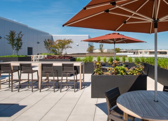 Renovated apartment rentals in Crystal City Arlington VA