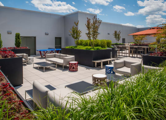 Modern apartment rentals in Crystal City Arlington VA