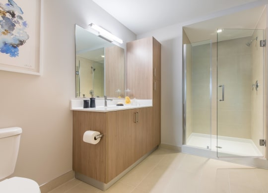 Apartment Rentals in Crystal City Arlington VA