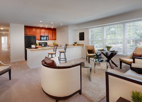 Spacious Apartment Rentals in National Landing Arlington VA
