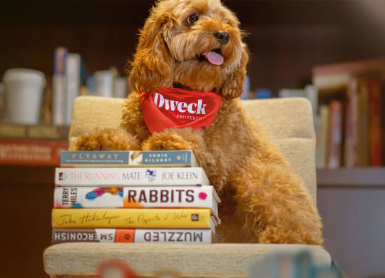 a dog sitting on a pile of books in a library