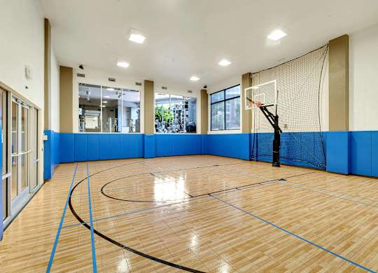 A basketball court inside a gym with a blue wall on one side.