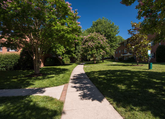 Luxury Apartment Rentals in National Landing Arlington VA