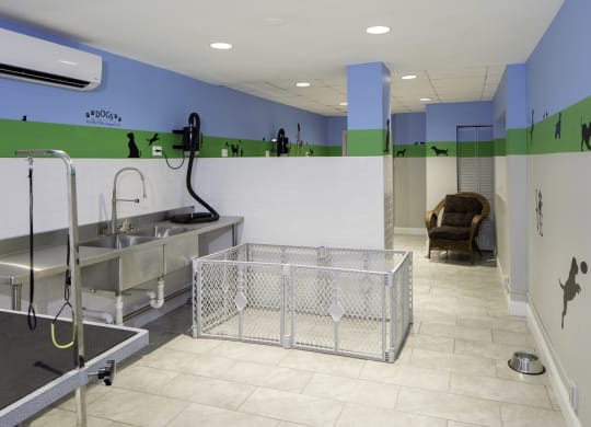 Modern apartment rentals in Crystal City Arlington VA