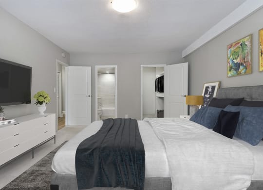 Apartment Rentals in Crystal City
