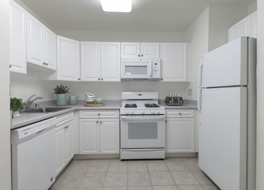 Apartment Rentals in Crystal City