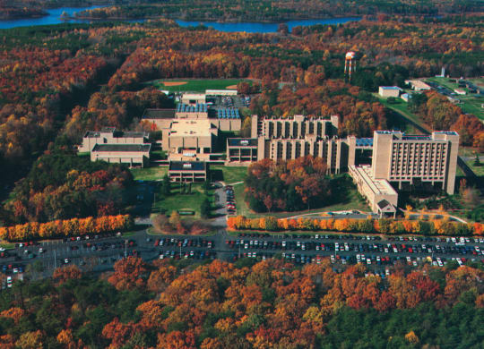 Woodbridge military apartments