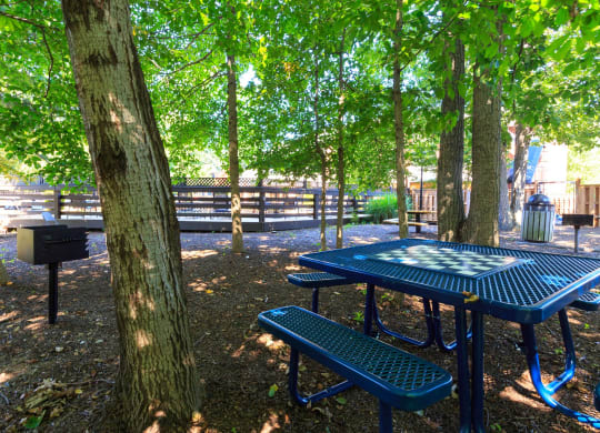 Great Apartment Rentals Near Fort Belvoir VA