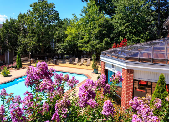 Nice Apartment Rentals Near Fort Belvoir VA