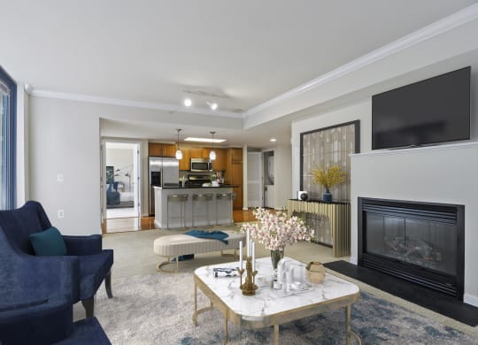 Nice Apartment Rentals in Pentagon City Arlington VA