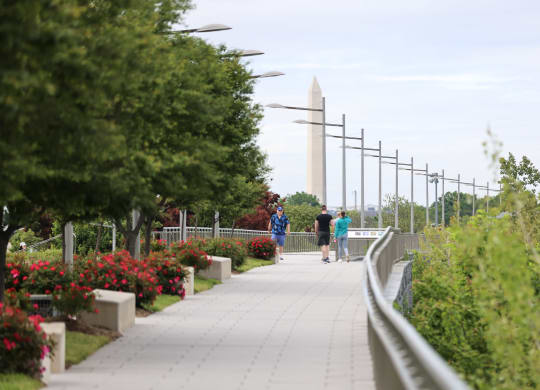Apartments for rent in Crystal City