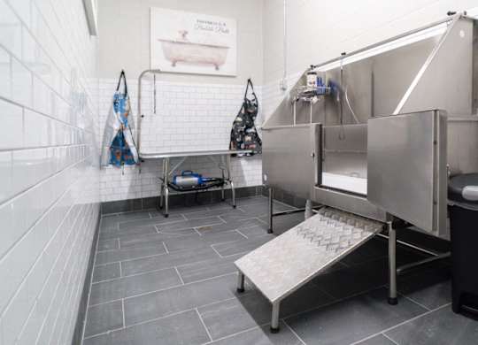 A clean, empty public bathroom with a trash can and a sink.