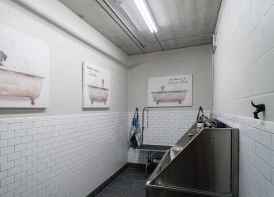 A bathroom with a sink and a picture of a goat in a bathtub.