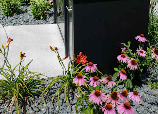 an outdoor bbq with flowers in the foreground