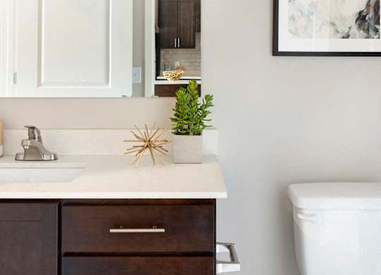 A white toilet sits next to a sink with a plant on top of it.