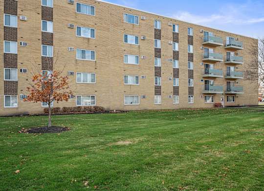A tree with orange leaves is in front of a large apartment building.