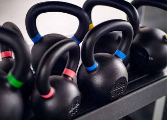a row of dumbbells in a gym