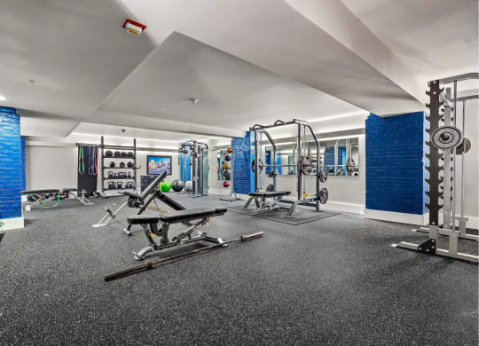 the gym at the condos is equipped with weights and other exercise equipment