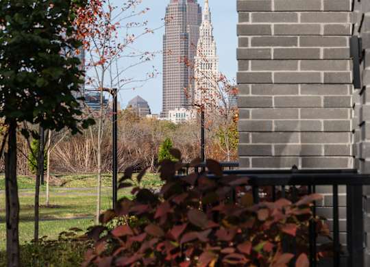A tall building is seen in the distance behind a tree and a brick building at The Park Apartments, Ohio