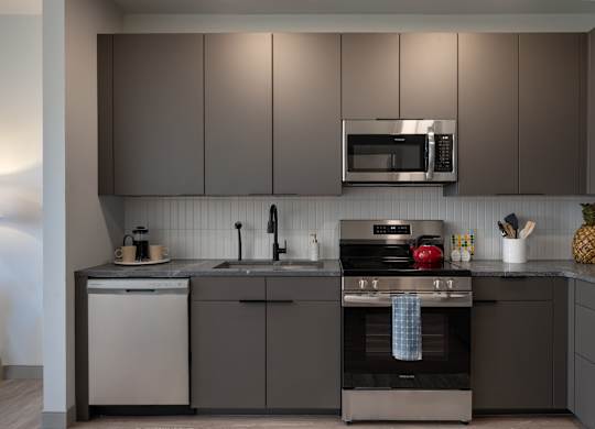 A modern kitchen with a stove top oven and a microwave above the sink at The Park Apartments, Cleveland , Ohio
