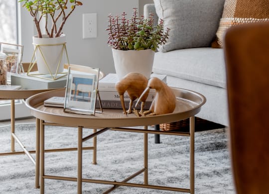 Home Decor at TREO Apartments, Cleveland, OH, 44116