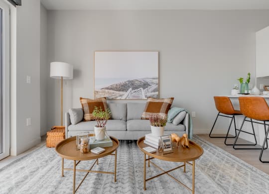 Living room at TREO Apartments, Cleveland, OH