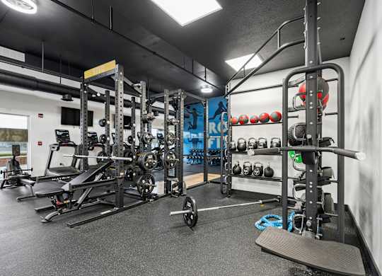 A gym with a variety of equipment including weights and a bench.