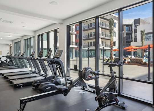 A gym with treadmills and a view of the outside.