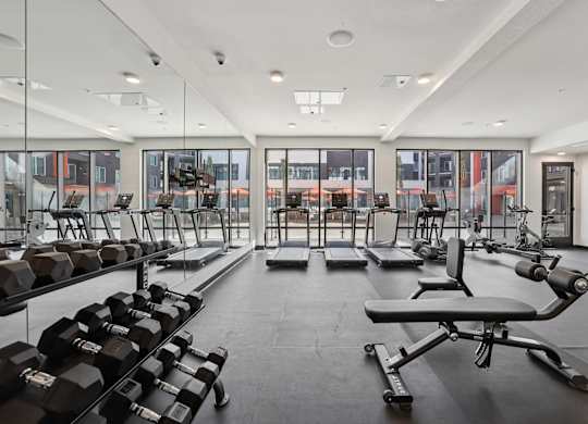 A gym with a variety of equipment including dumbbells, weight plates, and a bench press.