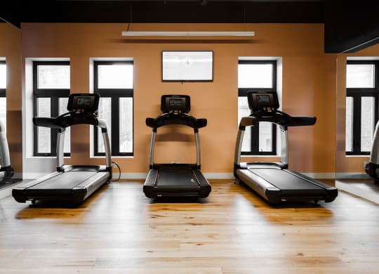 a row of treadmills in a gym with wood floors and windows