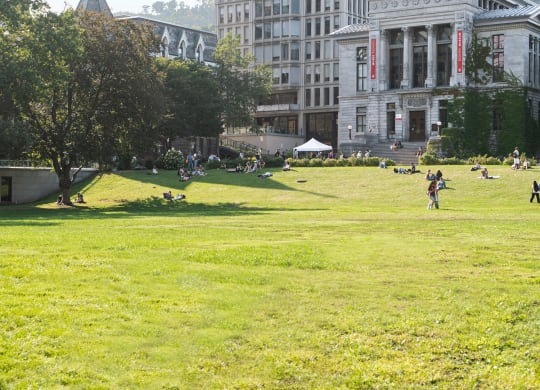 a city park with a large building in the background