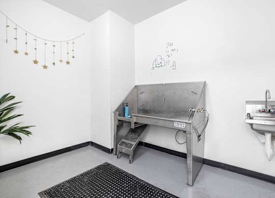 a room with a sink and a metal table