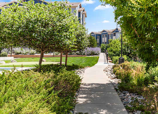 A walkway in a park with trees and bushes on either side.