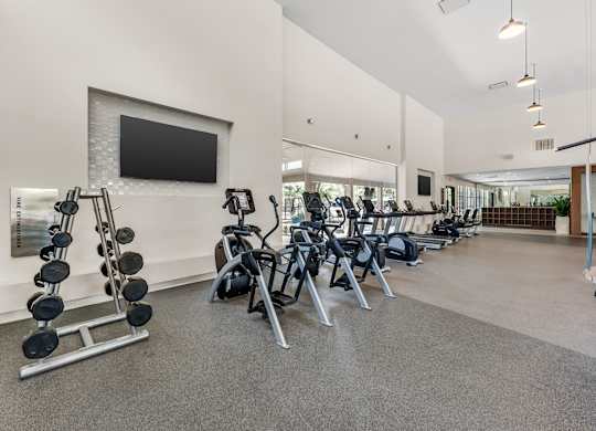 A gym with a variety of equipment including dumbbells, weight machines, and a flat screen TV.