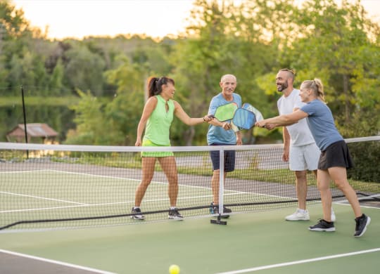 a group of people shaking hands on a tennis court