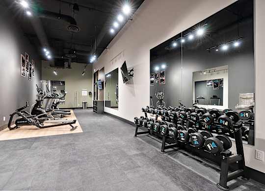 A gym with a row of dumbbells on the right and a row of treadmills on the left.at Raymond Block, Edmonton, T6E 3R7