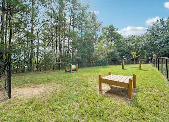 A wooden bench sits in the middle of a grassy area with trees in the background.