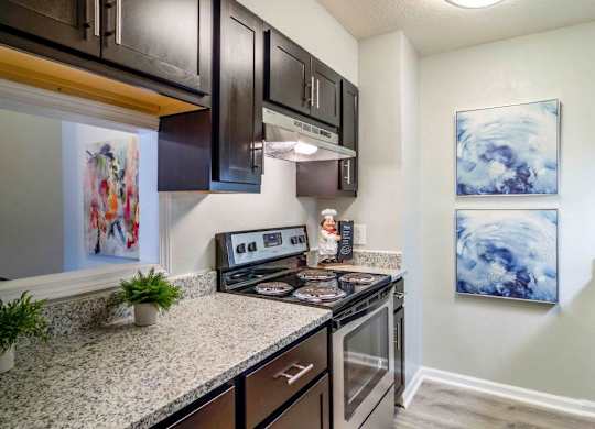 A kitchen with a granite countertop and a stove top oven at The Onyx Hoover Apartments, Alabama, 35216
