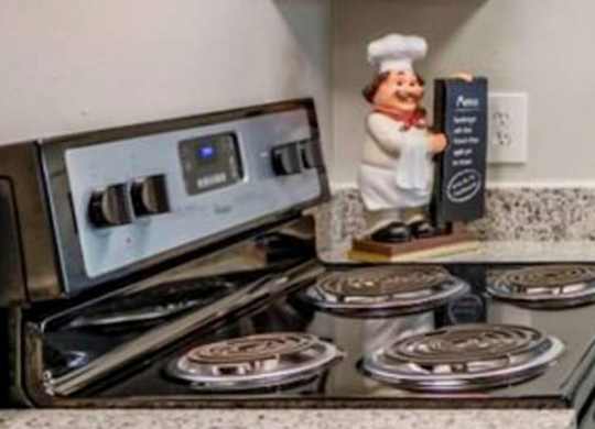 A modern kitchen with a stove, oven, and a plant. at The Onyx Hoover Apartments, Hoover, 35216